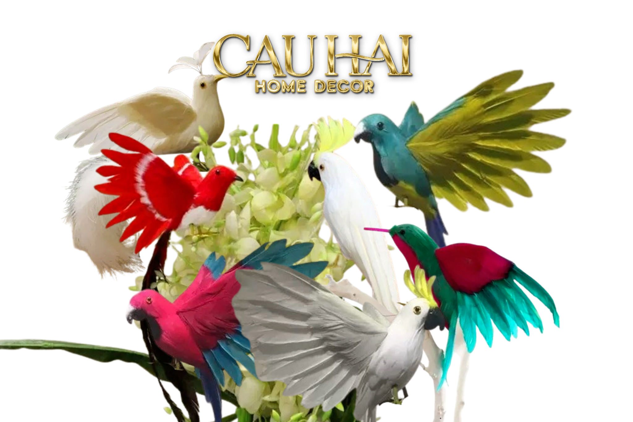 BIRD OF PARADISE - HEAVENLY PHÉNIX COLLECTION PRIVÉE