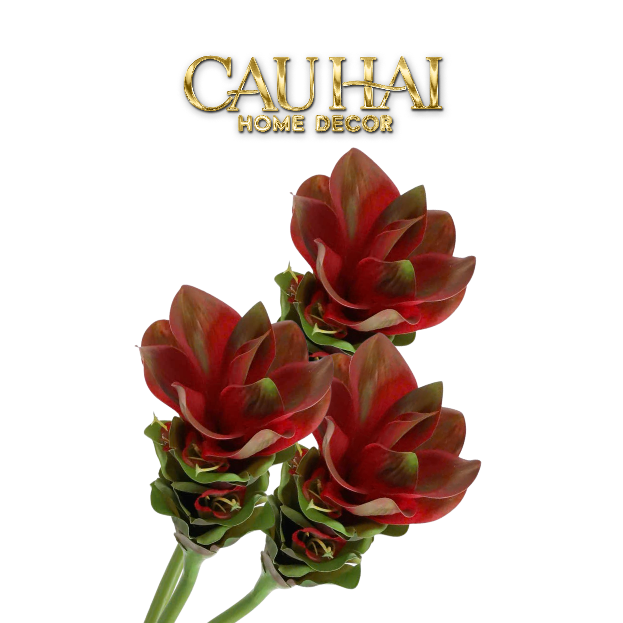 SET 2 CÀNH HOA GỪNG CRIMSON TORCH GINGER BLOOM-CẬU HAI HOME DECOR