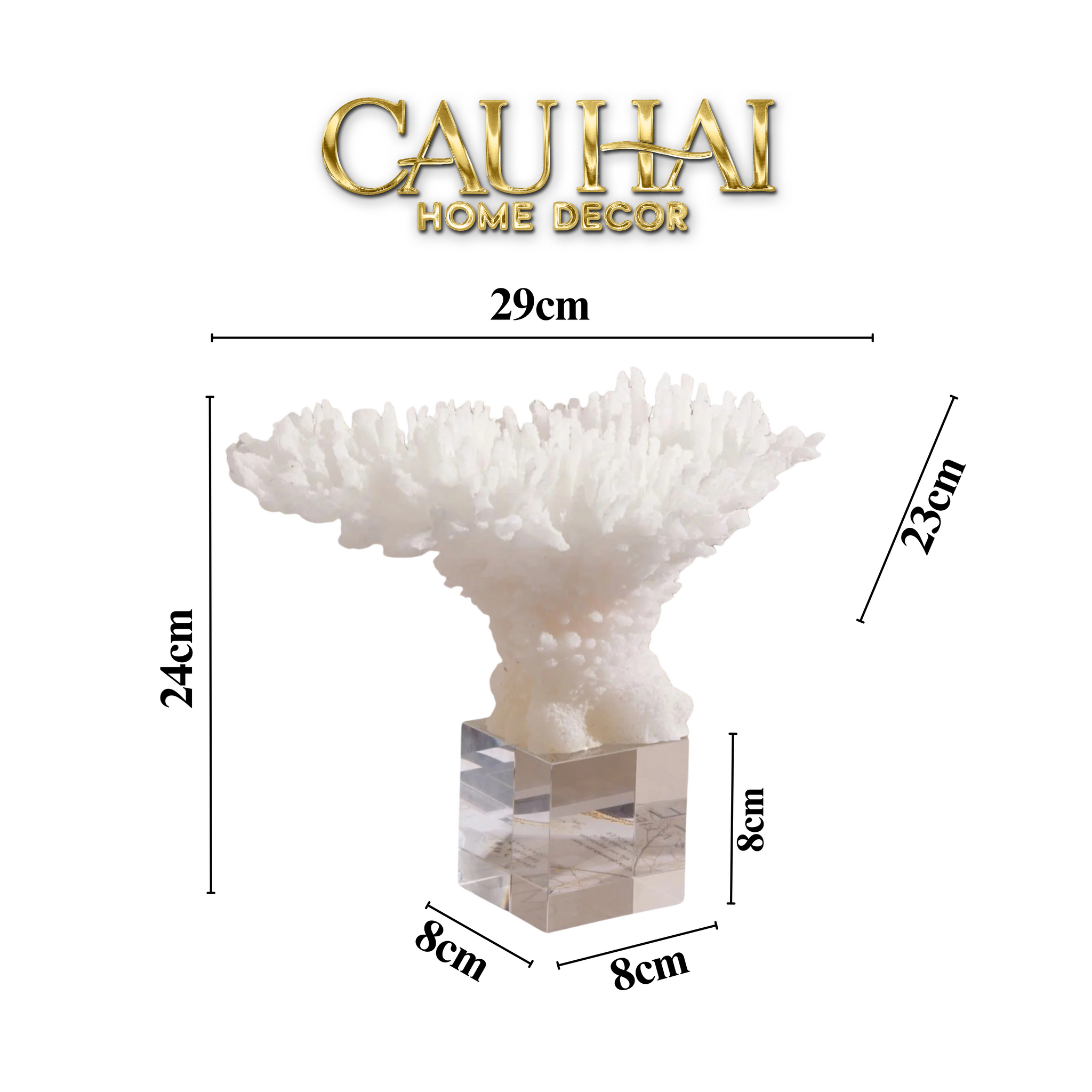 HOME COUTURE - TƯỢNG SAN HÔ CORAL - SNOW FW25-CẬU HAI HOME DECOR
