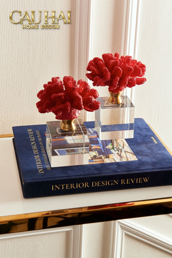 Maison Couture - Sách Fashion Runway Collection Special Best Interior Design On The Planet