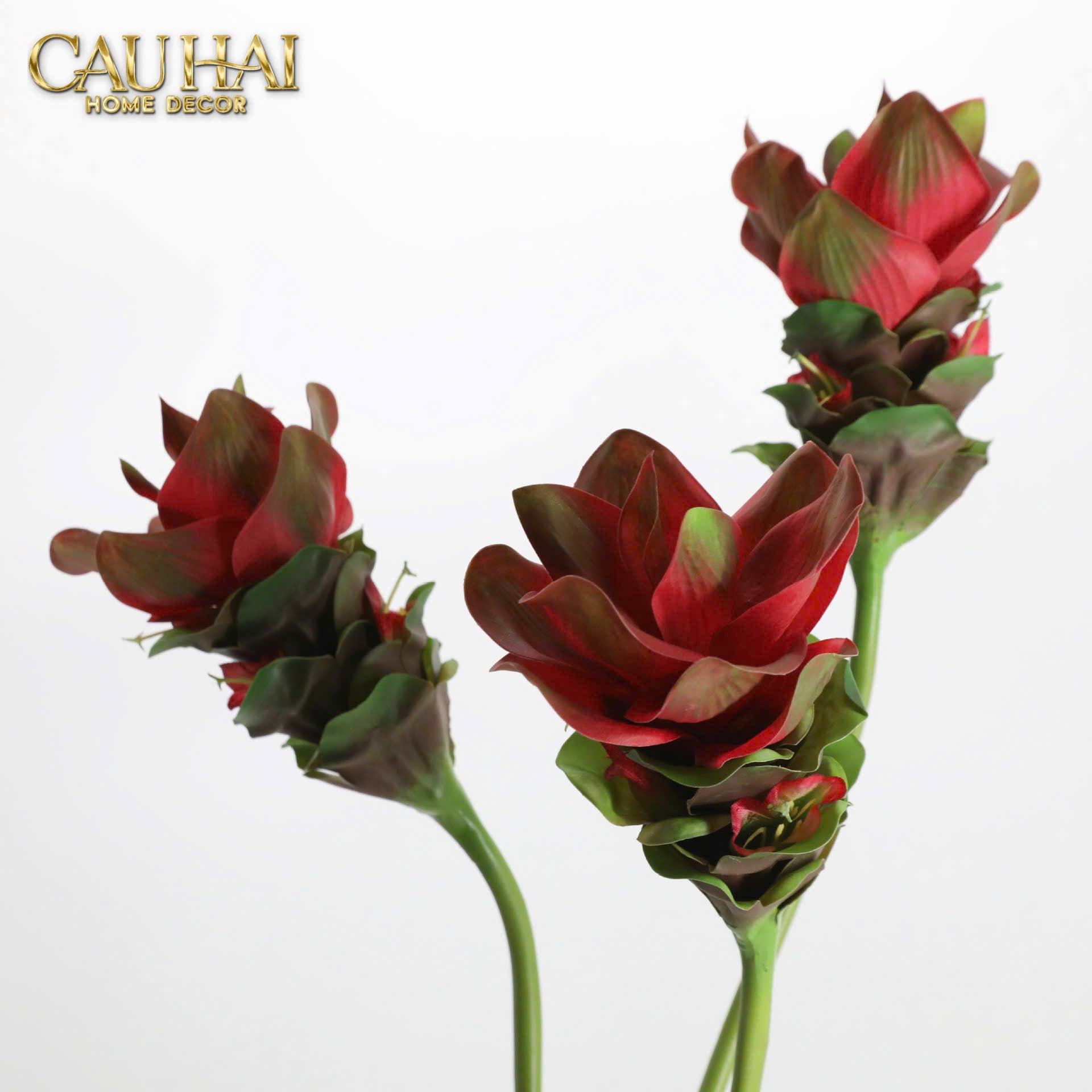 SET 2 CÀNH HOA GỪNG CRIMSON TORCH GINGER BLOOM-CẬU HAI HOME DECOR