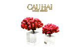 Home Couture - Set 2 Tượng San Hô Đỏ Ashen Pyre Corals Crystal Base.-CẬU HAI HOME DECOR