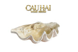 HOME COUTURE - KHAY VỎ SÒ MIRAGE PEARL  SEASHELL TRAY D33