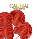 Tết Couture - Set 2 Cành Lá Cọ Đỏ – Dried Palm Leaves
