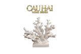 Home Couture - Tượng San Hô Antarctic Freezing Corallia-CẬU HAI HOME DECOR
