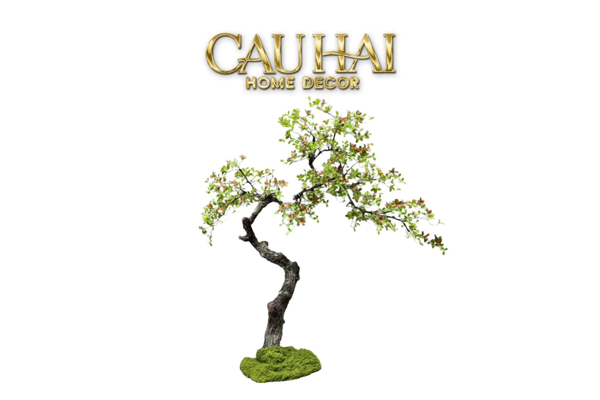 Maison Couture - Cây Bonsai Xuân Hoa Hải Đảo - Zen Sculpture H180 - Dáng Cây Đặt Theo Yêu Cầu