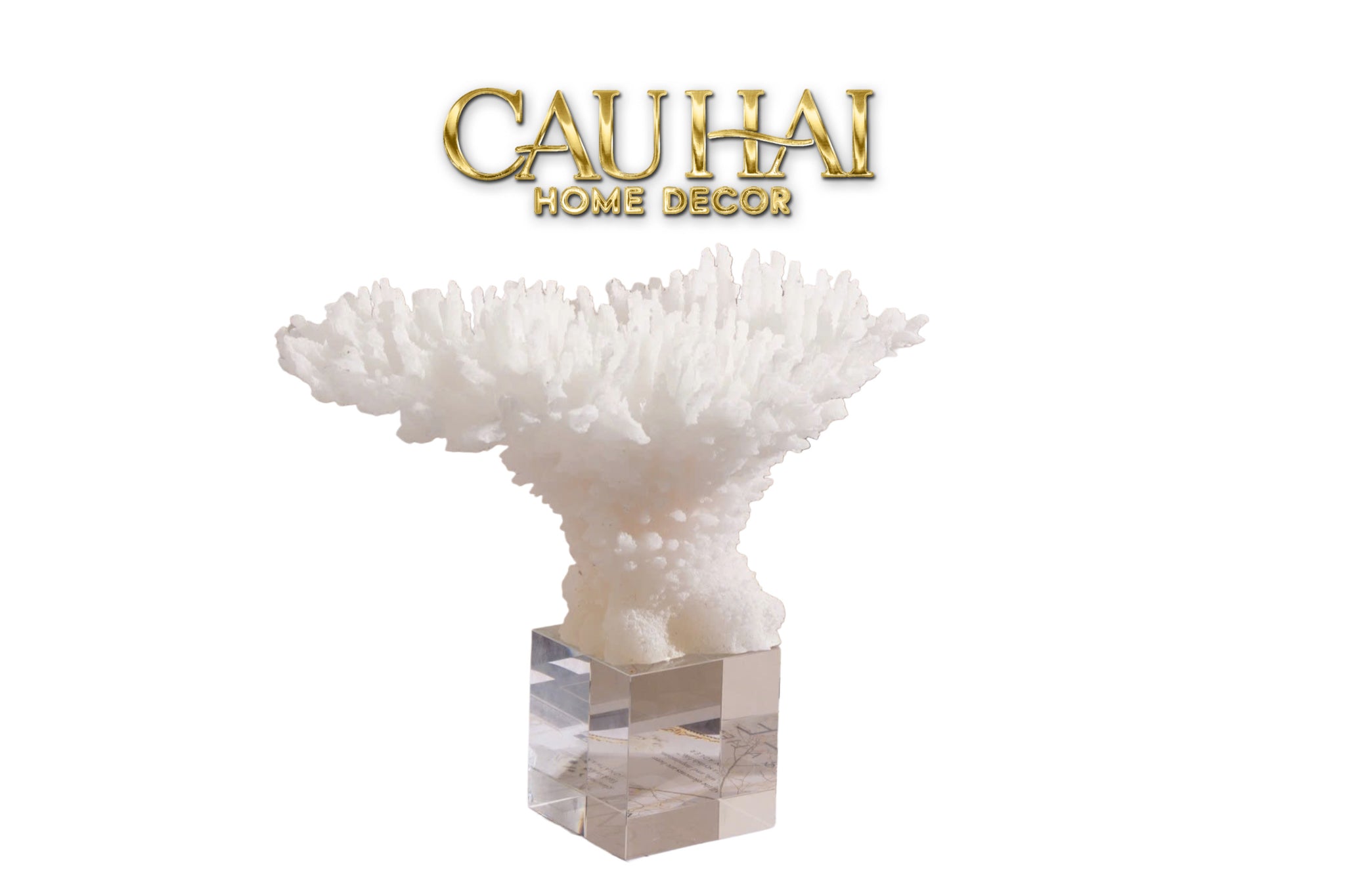 HOME COUTURE - TƯỢNG SAN HÔ CORAL - SNOW FW25-CẬU HAI HOME DECOR