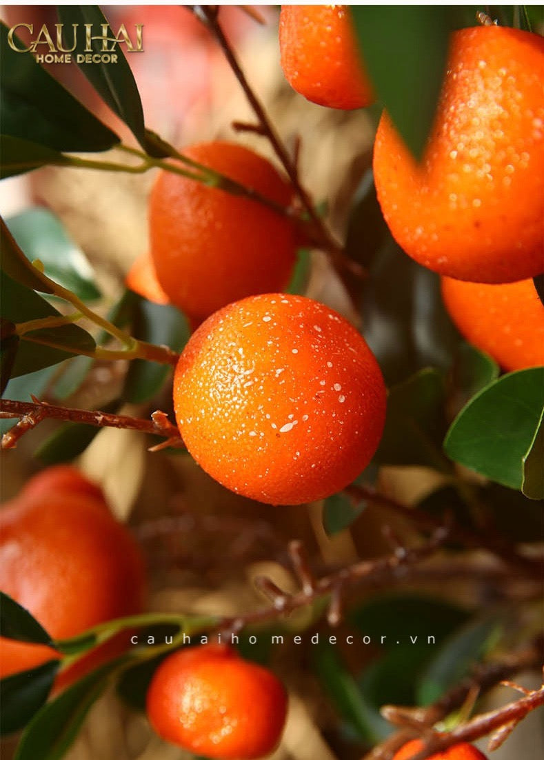 Set 2 Cành Quả Quýt Tangerines Ember/Amber - CẬU HAI HOME DECOR