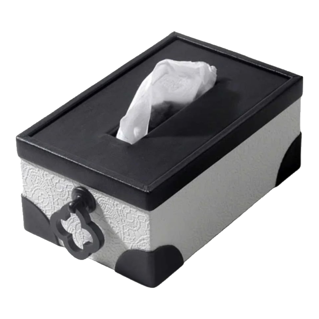 Black Ivory Lace Tissue Box - Noir Fw25