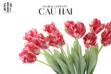 SET 2 CÀNH HOA PARROT TULIP POWDER PINK / FUCHSIA-CẬU HAI HOME DECOR