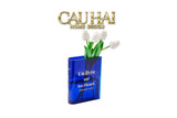 Bình Hoa Acrylic Book About Flower-BÌNH HOA-CẬU HAI HOME DECOR