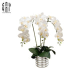 Bình Hoa Lan Trắng - White Orchid 40x65-BÌNH HOA-CẬU HAI HOME DECOR