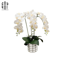 Bình Hoa Lan Trắng - White Orchid-CẬU HAI HOME DECOR