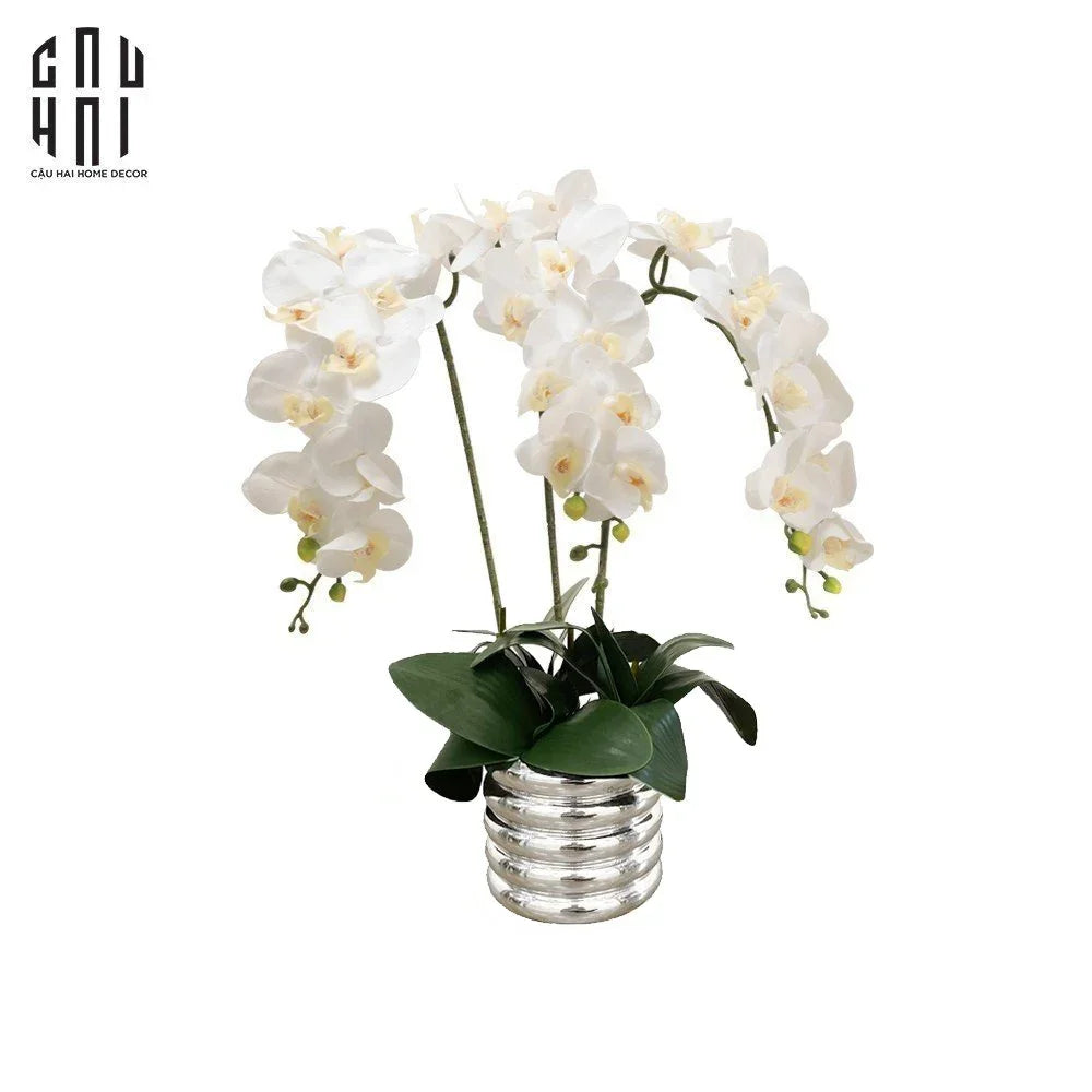 BÌNH HOA LAN TRẮNG - WHITE ORCHID-CẬU HAI HOME DECOR