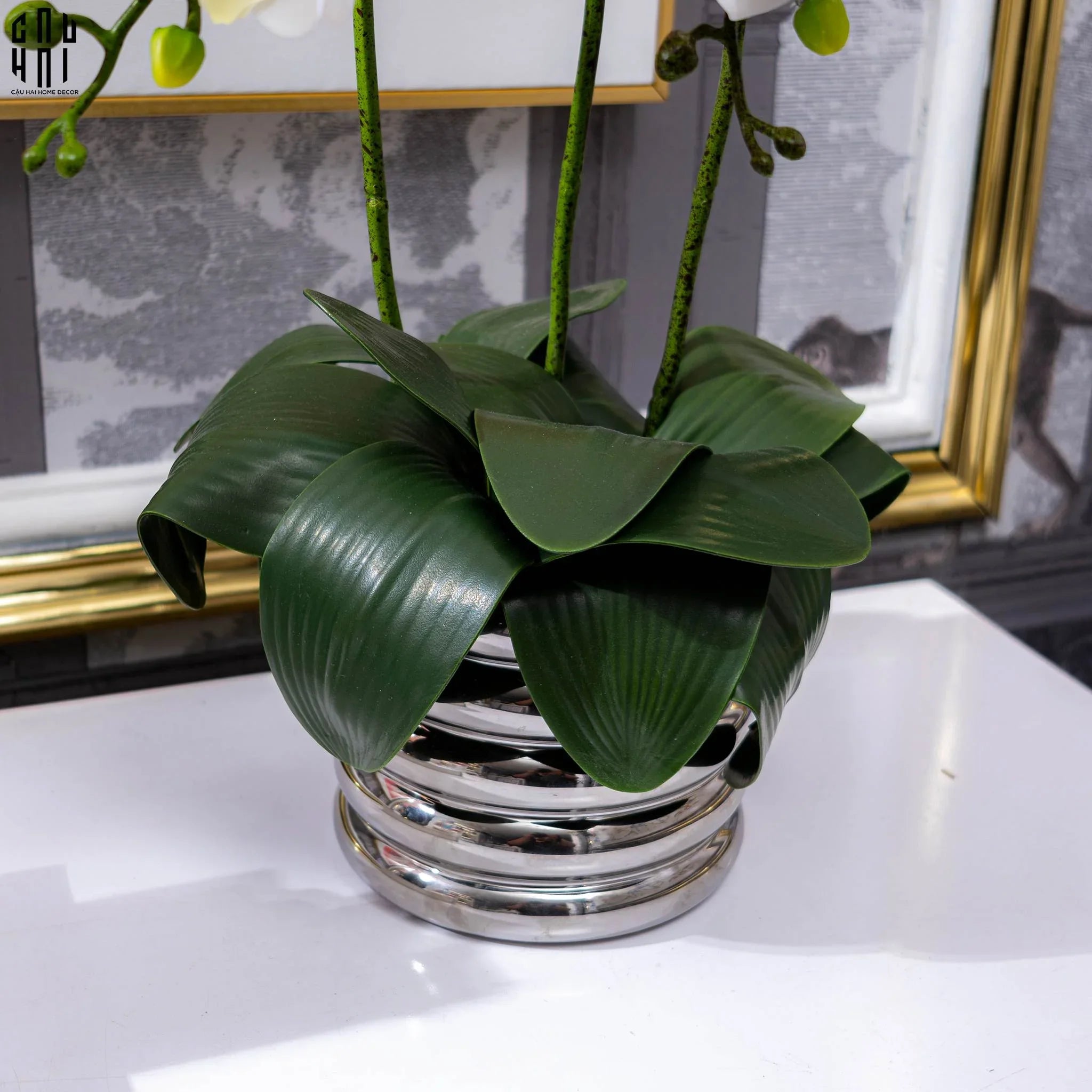 BÌNH HOA LAN TRẮNG - WHITE ORCHID-CẬU HAI HOME DECOR