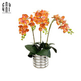 BÌNH HOA ORANGE ORCHID-CẬU HAI HOME DECOR