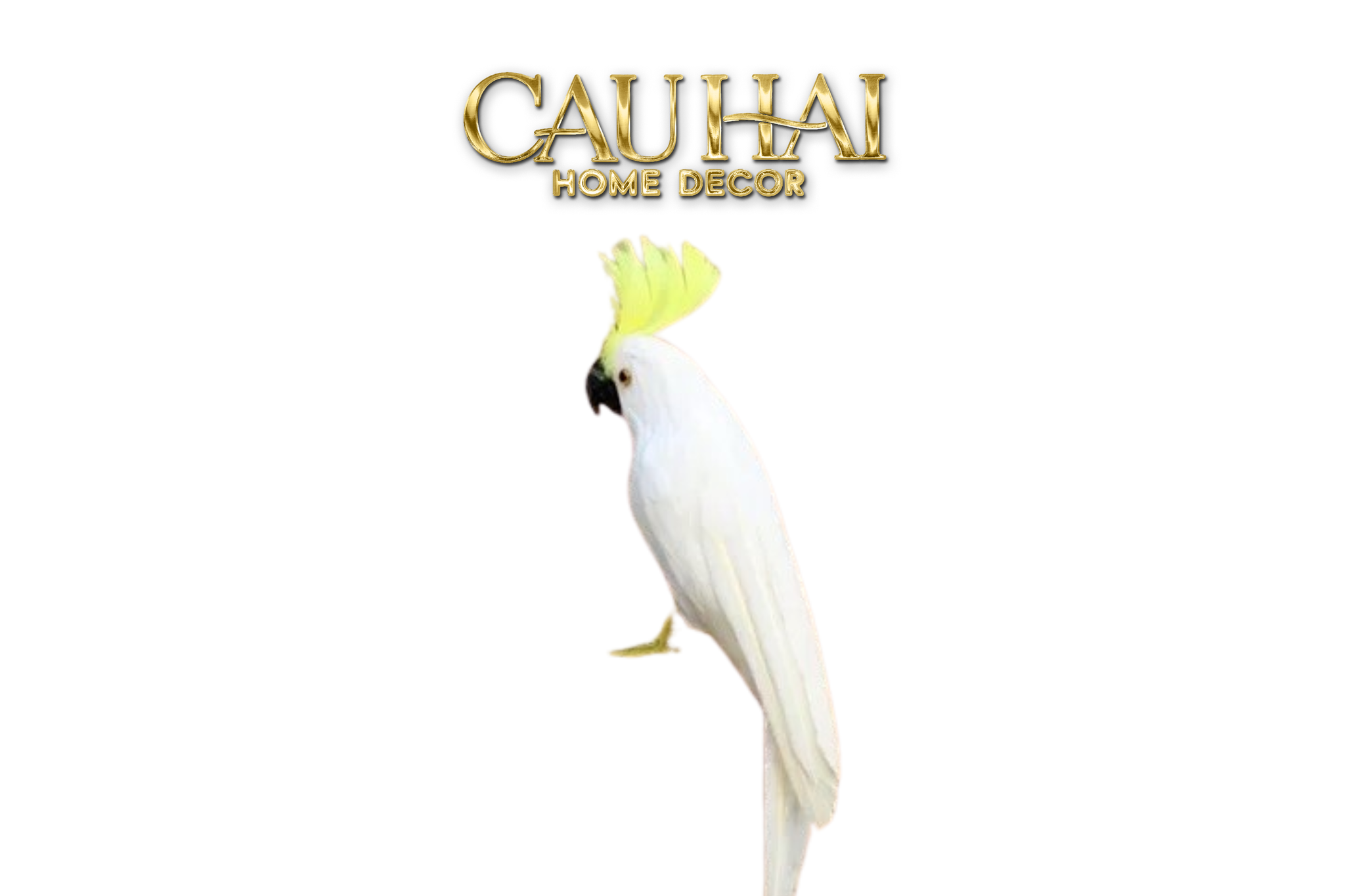 Bird Of Paradise - Heavenly Phénix Collection Privée - CẬU HAI HOME DECOR