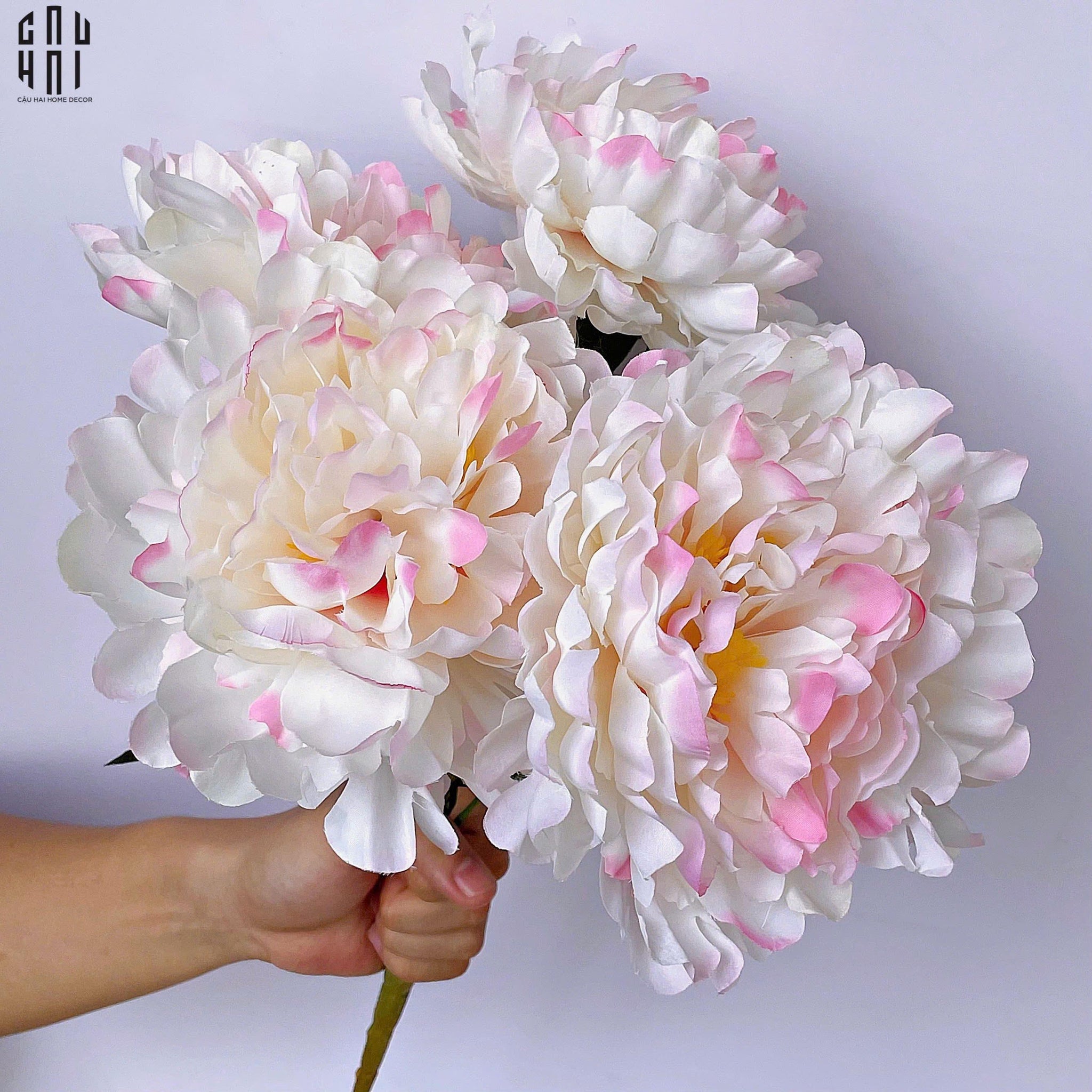 BÓ 5 HOA MẪU ĐƠN PEONY HỒNG BABE-CẬU HAI HOME DECOR