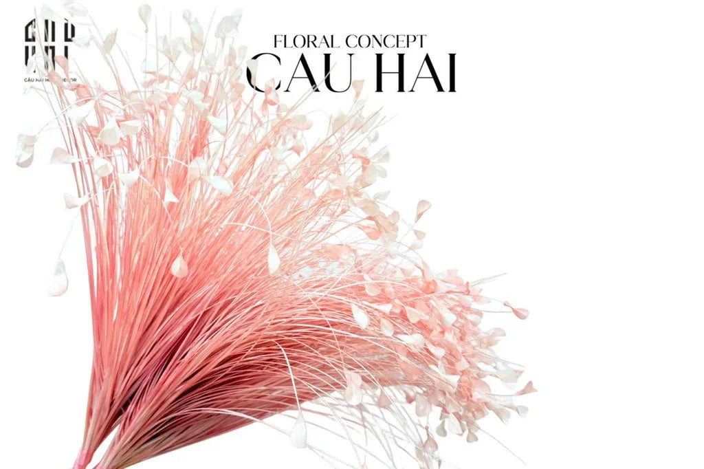 Bó Cỏ Khổng Tước - Pink - CẬU HAI HOME DECOR