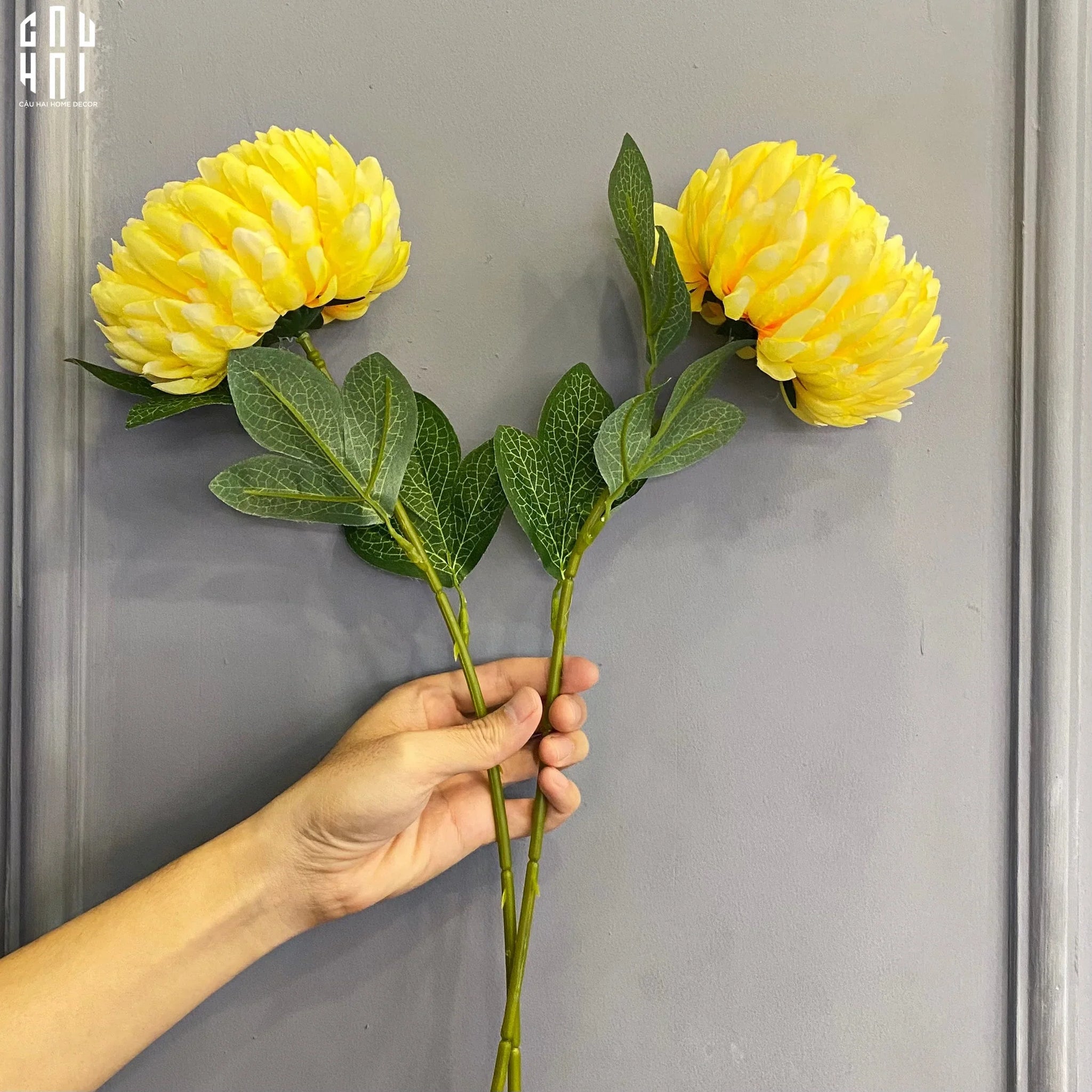 CÀNH CÚC MẪU ĐƠN VÀNG-CẬU HAI HOME DECOR