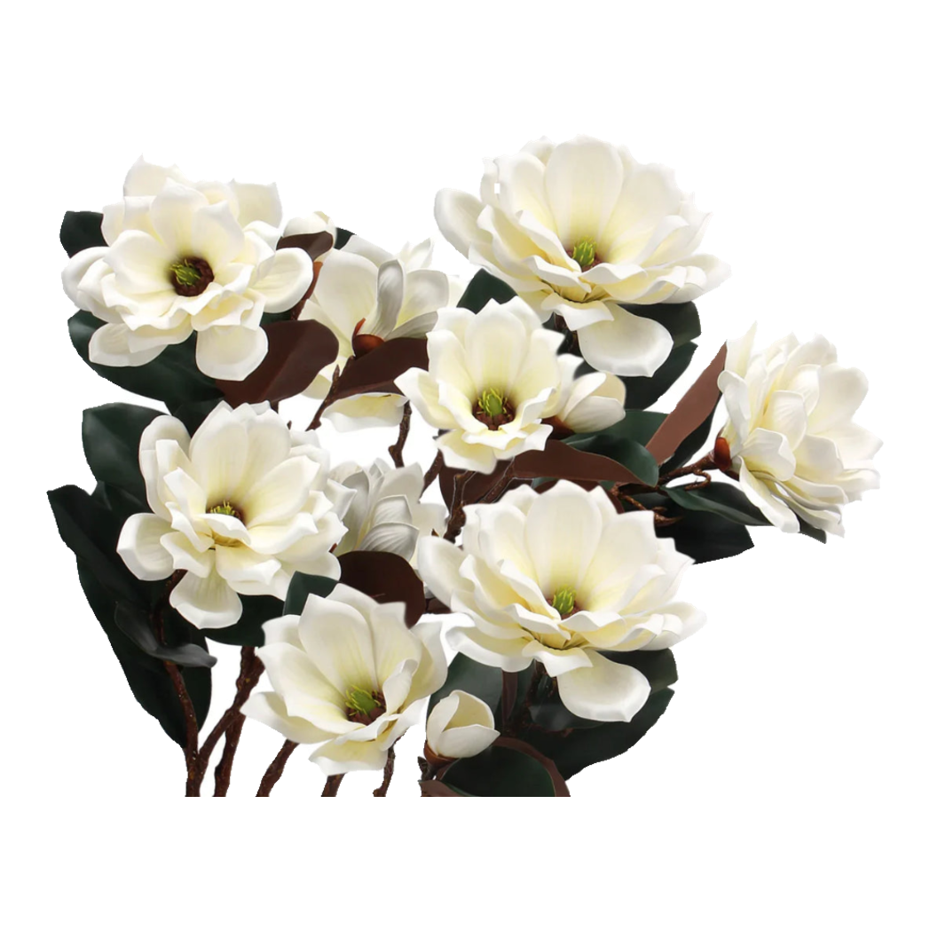 Cành Hoa Mộc Lan Minyulua De Magnolia -
