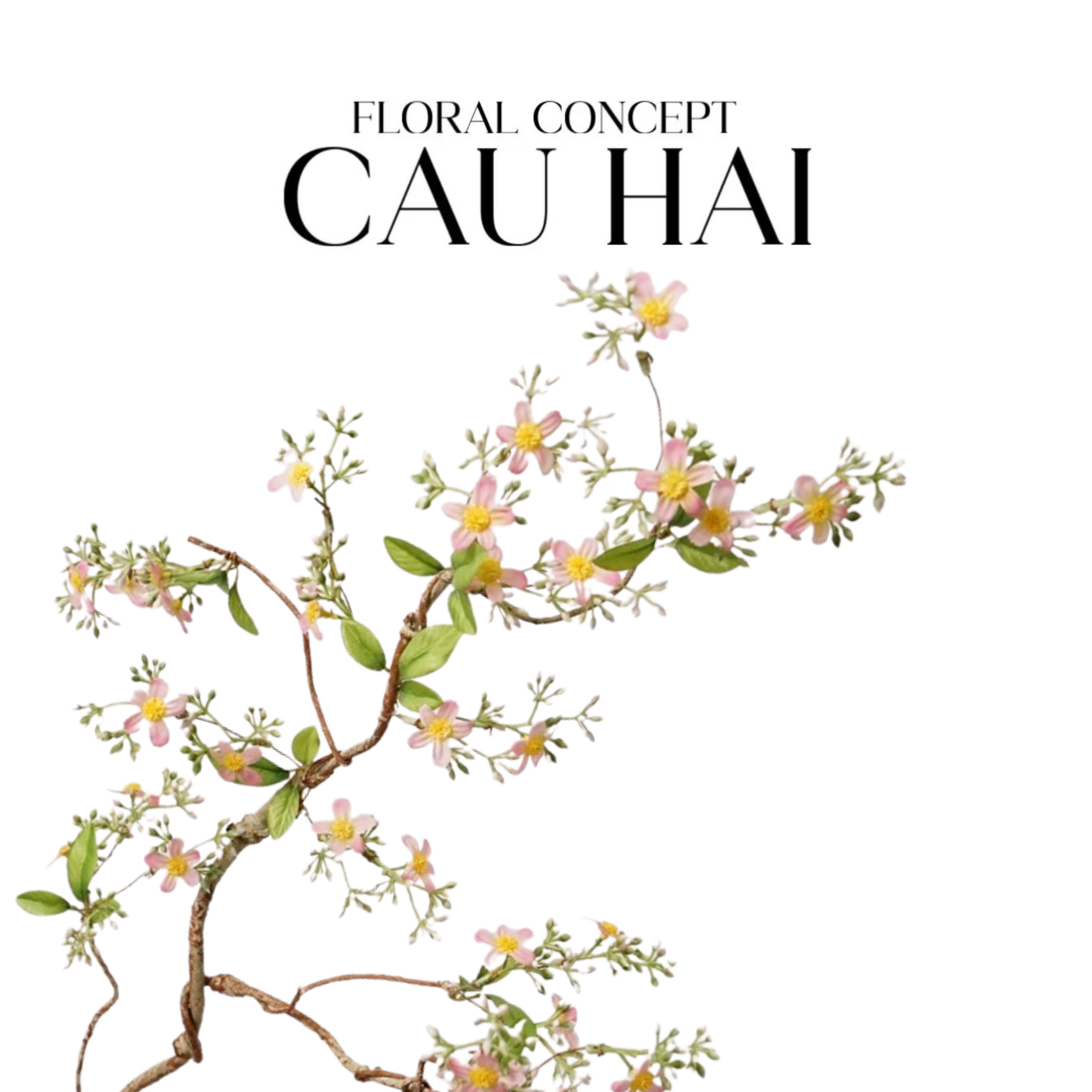 CÀNH HOA TÁO-CẬU HAI HOME DECOR