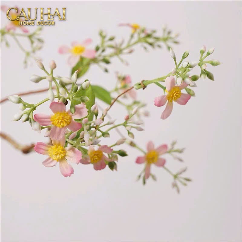 CÀNH HOA TÁO-CẬU HAI HOME DECOR