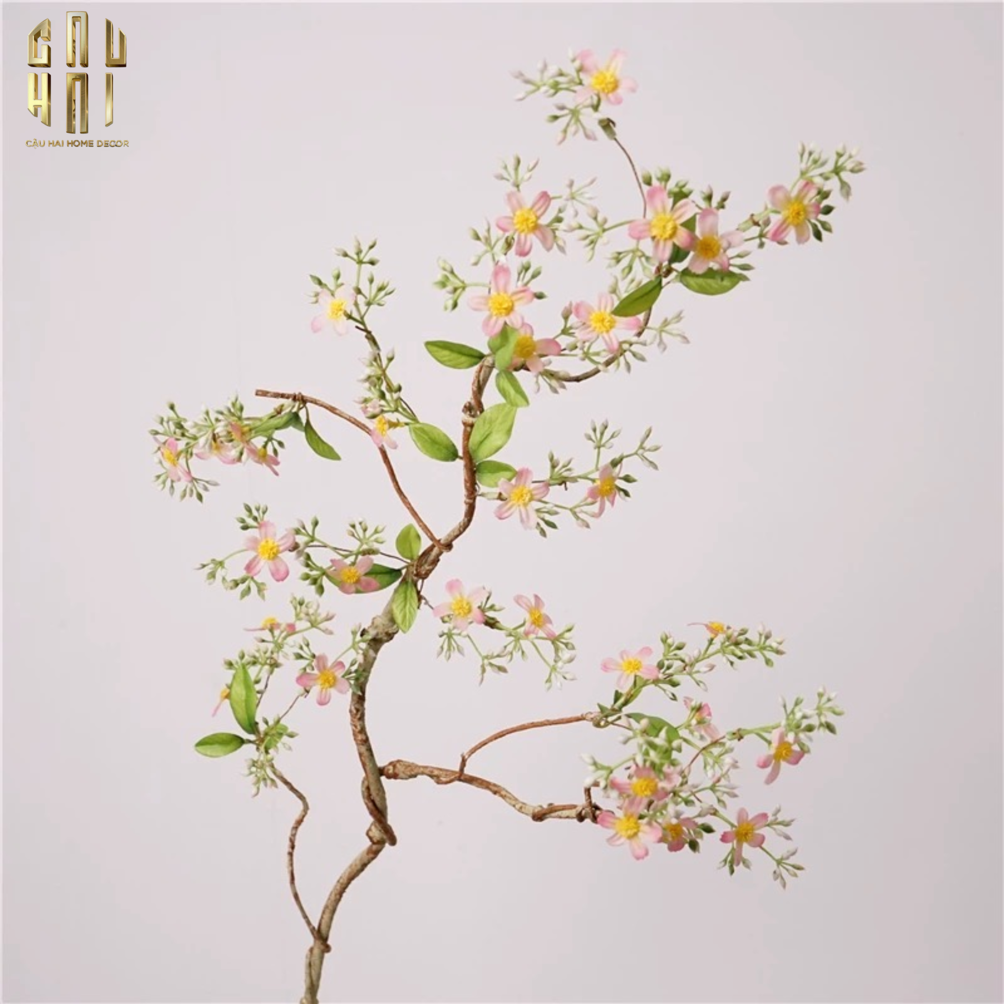 CÀNH HOA TÁO-CẬU HAI HOME DECOR