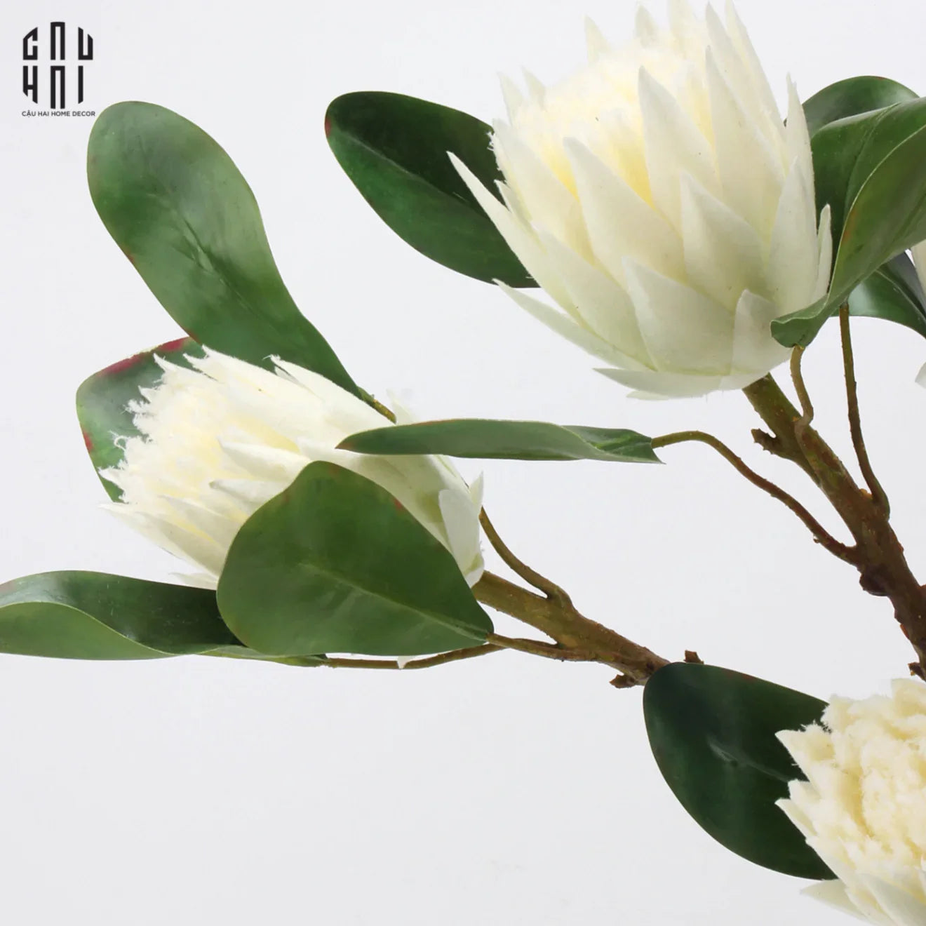 Cành Hoa Thảo Đường Hoàng Đế Protea King - White-CẬU HAI HOME DECOR
