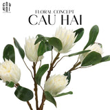 Cành Hoa Thảo Đường Hoàng Đế Protea King - White-Hoa Lụa-CẬU HAI HOME DECOR