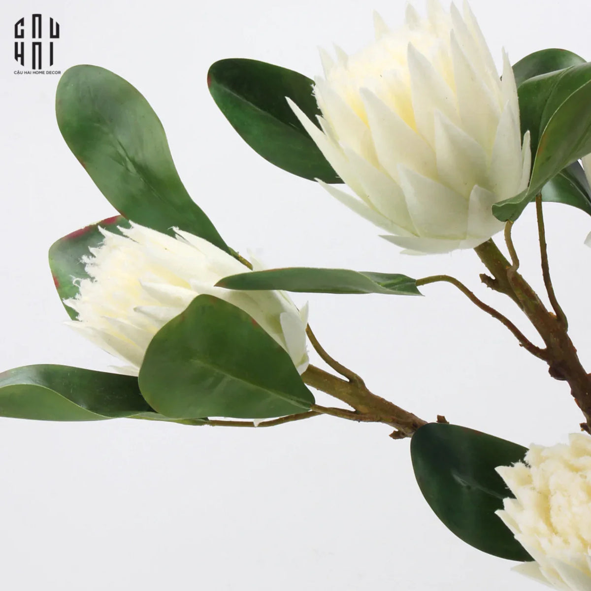Cành Hoa Thảo Đường Hoàng Đế Protea King - White-Hoa Lụa-CẬU HAI HOME DECOR