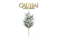 Cành Thông-CẬU HAI HOME DECOR