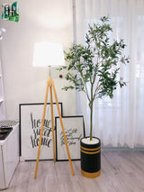 CÂY OLIVE 1M5-CẬU HAI HOME DECOR