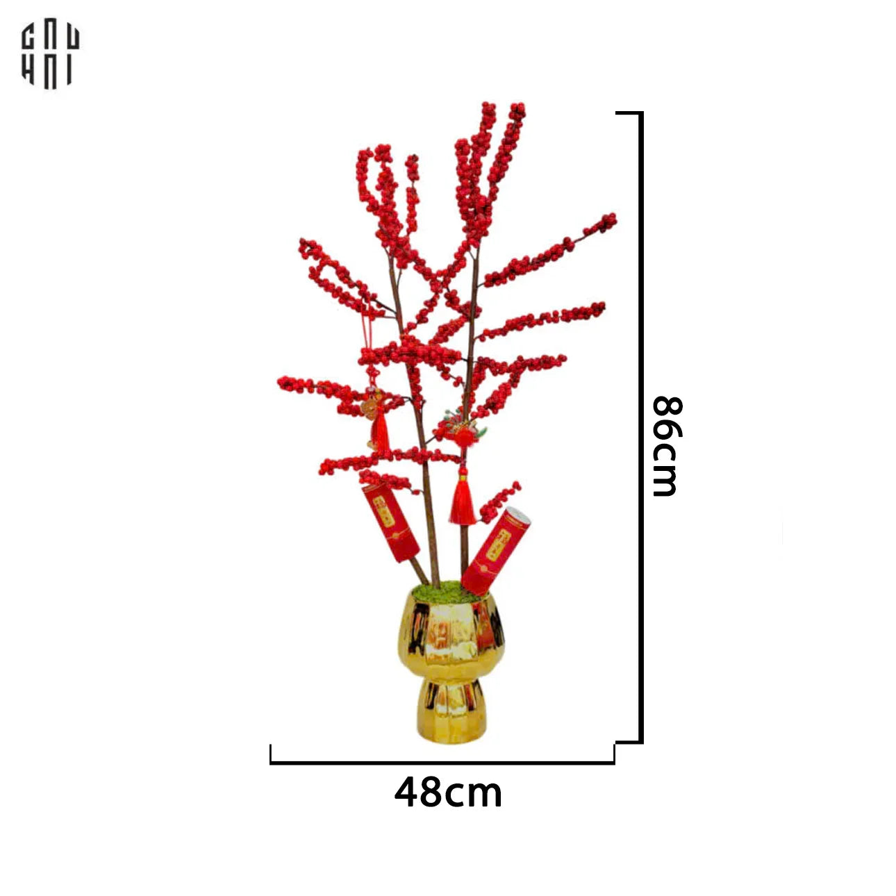 CHẬU ĐÀO ĐÔNG 2025 - SONG PHÚC CÁT TƯỜNG-CẬU HAI HOME DECOR