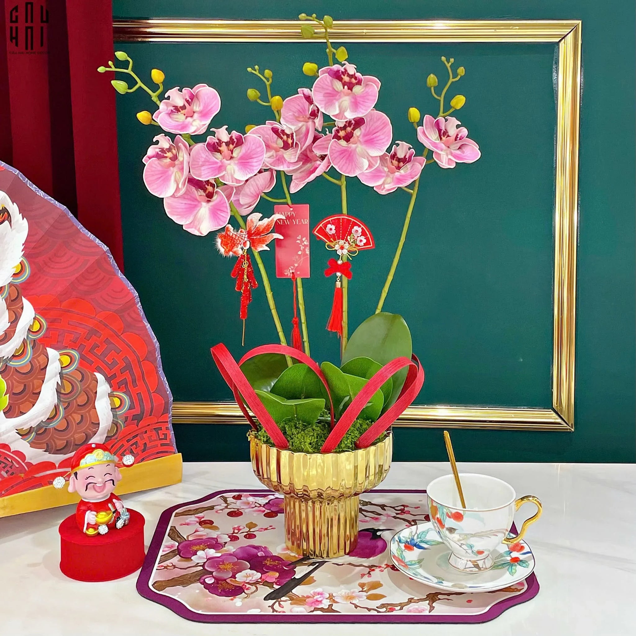 Chậu Hoa Lan Hồ Điệp - Phấn Sắc-CẬU HAI HOME DECOR