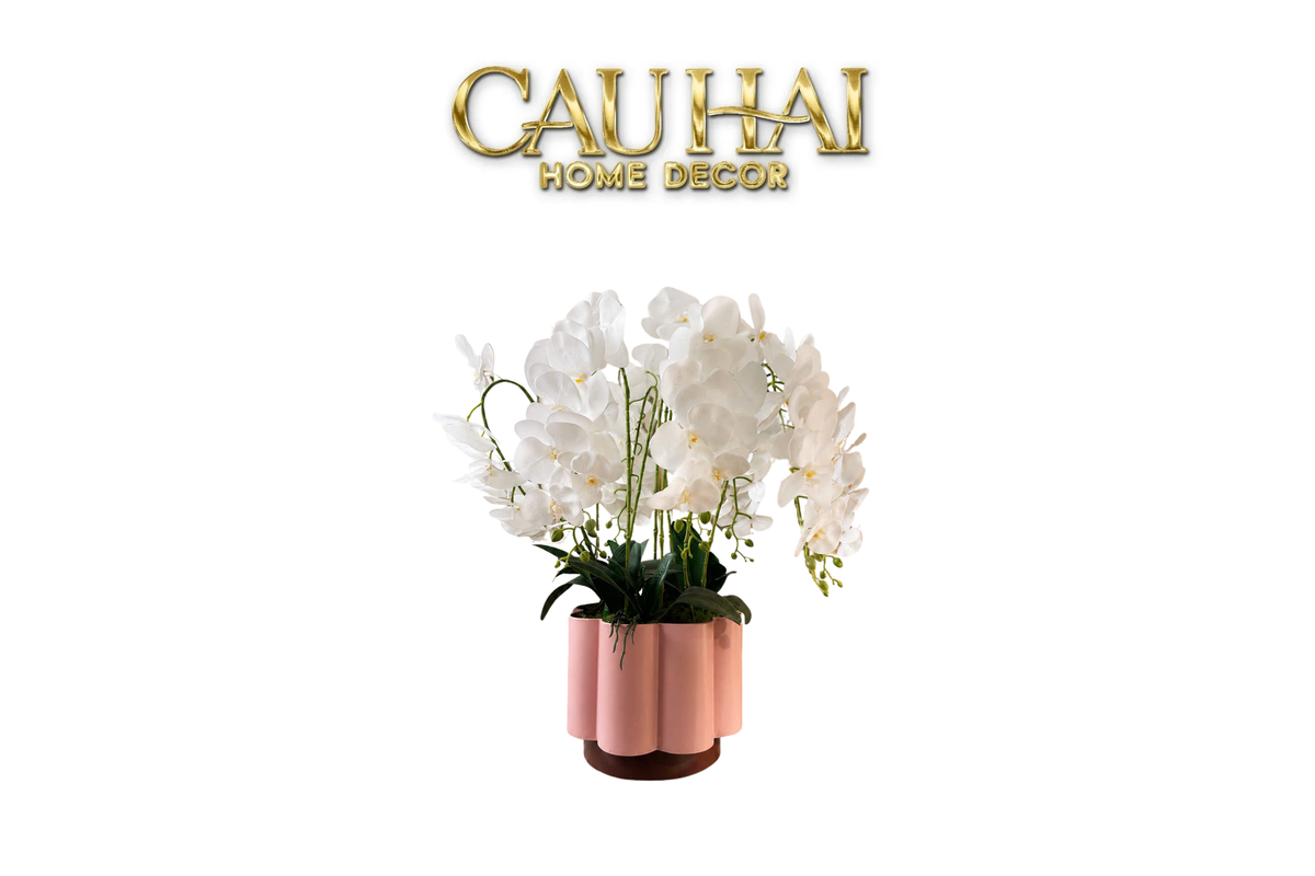 Chậu Lan Hồ Điệp Blanc Impérial H70-BÌNH HOA-CẬU HAI HOME DECOR