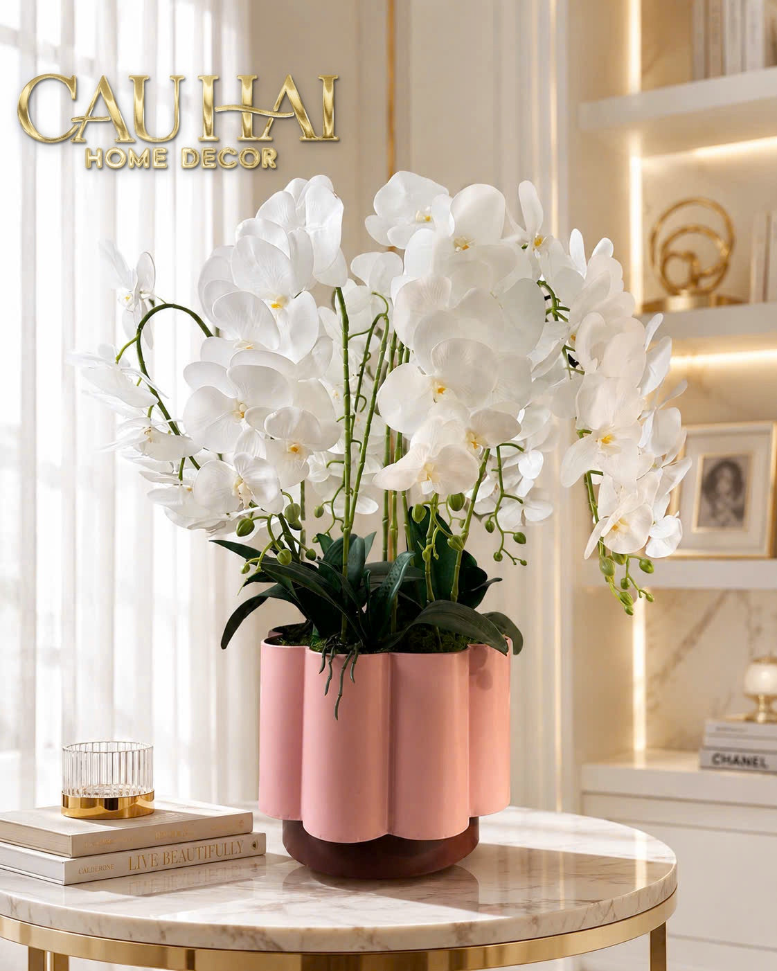 Chậu Lan Hồ Điệp Blanc Impérial H70-BÌNH HOA-CẬU HAI HOME DECOR