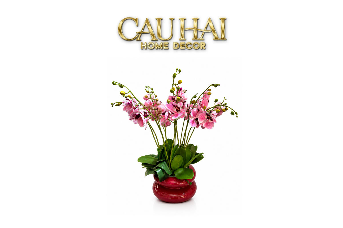 Chậu Lan Hồ Điệp Rosé Élégance H60-BÌNH HOA-CẬU HAI HOME DECOR