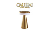 Đèn Mặt Trăng Golden Lunar Orbit Lamp-ĐÈN TRANG TRÍ-CẬU HAI HOME DECOR