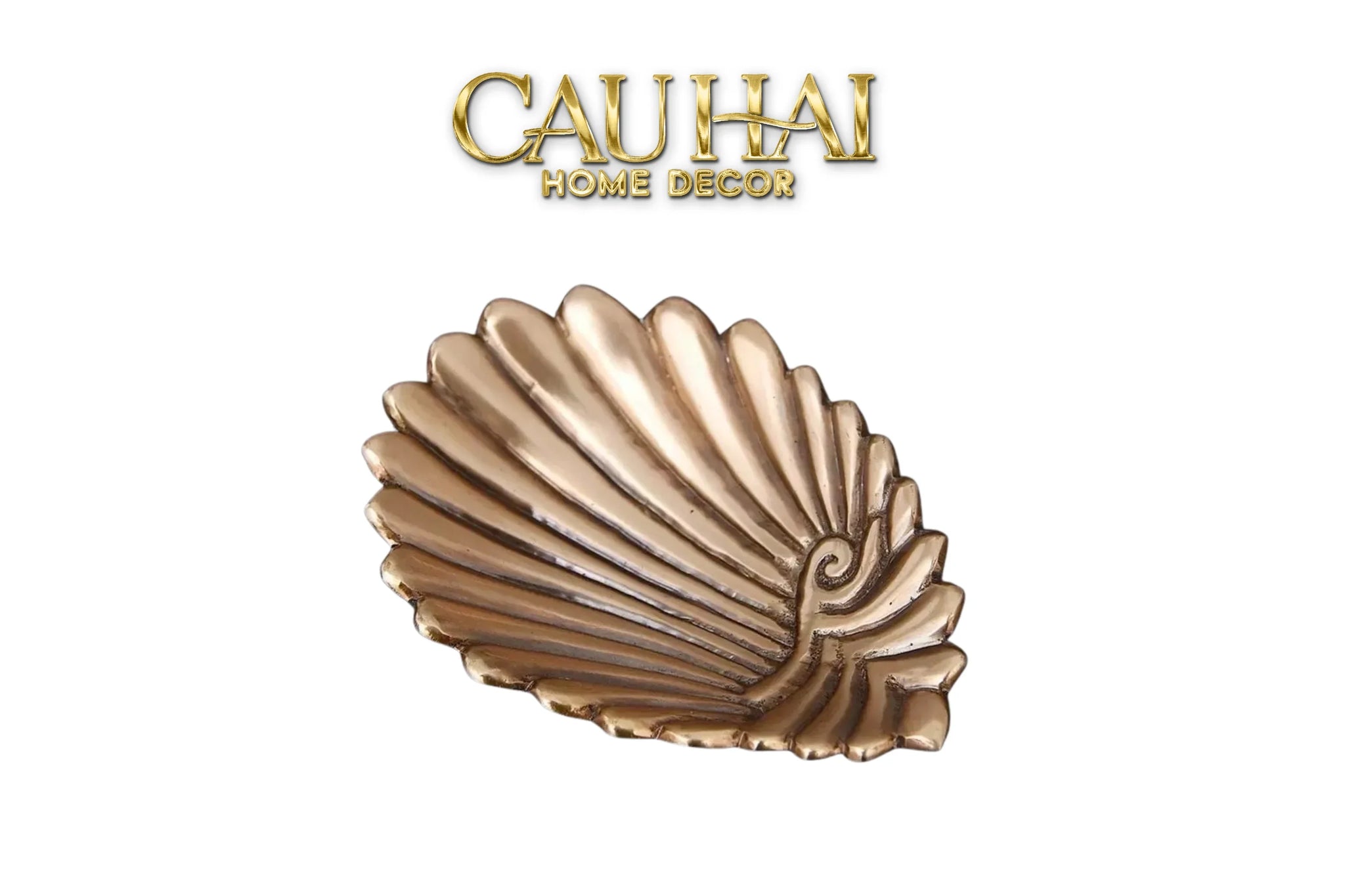 Đĩa Trang Sức Conque D’Aegean - Brasson Jewelry Shell Tray-CẬU HAI HOME DECOR