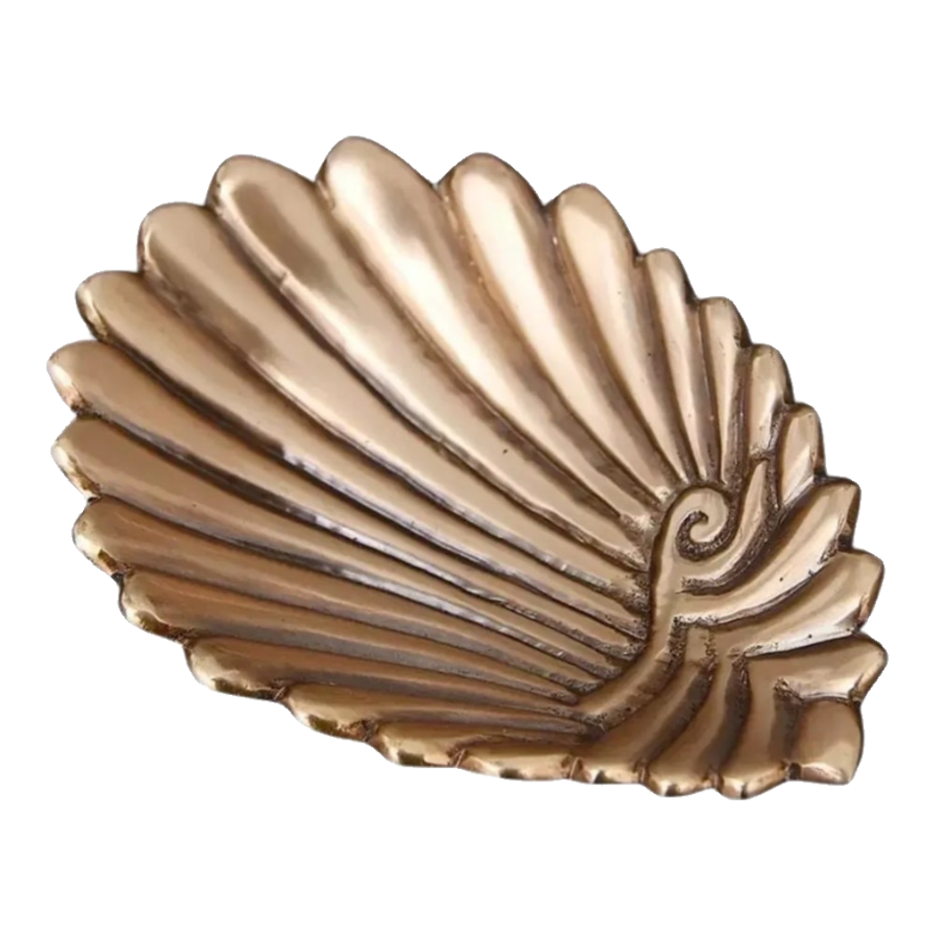 Đĩa Trang Sức Conque D’Aegean - Brasson Jewelry Shell Tray