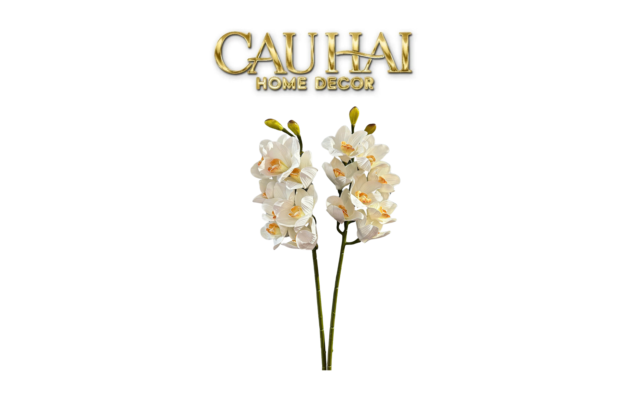 Set 2 Cành Địa Lan Cymbidium