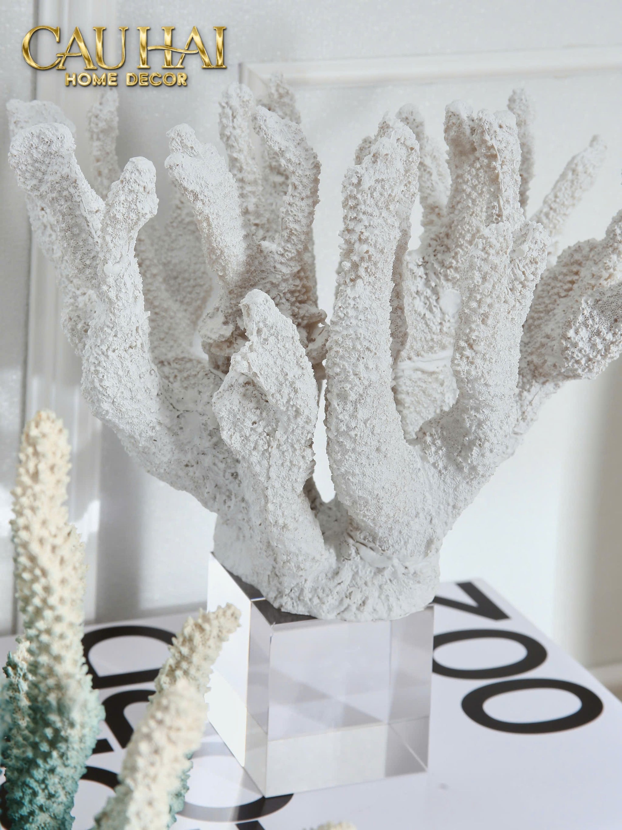 Home Couture - Tượng San Hô Arctica Frosting Corallia - CẬU HAI HOME DECOR