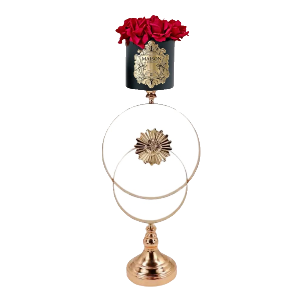 L’Essence Du Rose 12 - Chậu Hoa Hồng Solar Ecliptica H60