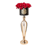 L’Essence Du Rose 12 - Chậu Hoa Hồng Versailles Grande H52