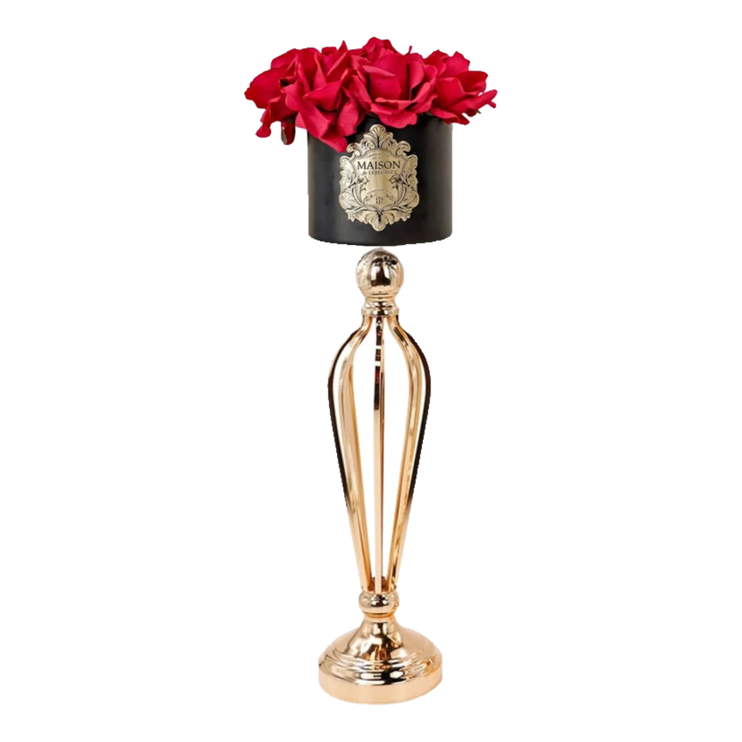 L’Essence Du Rose 12 - Chậu Hoa Hồng Versailles Grande H52