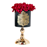 L’Essence Du Rose - Chậu Hoa Hồng D12