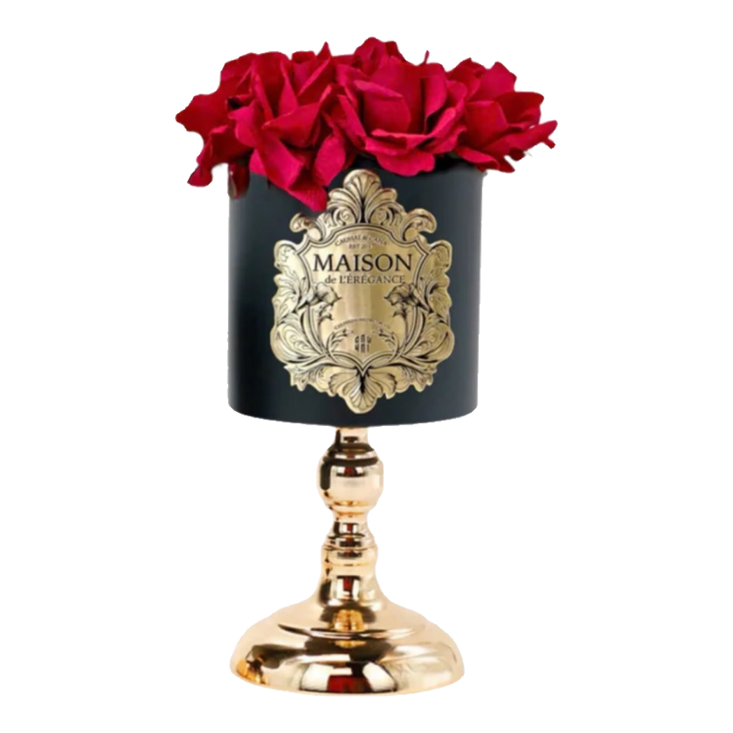 L’Essence Du Rose - Chậu Hoa Hồng D12