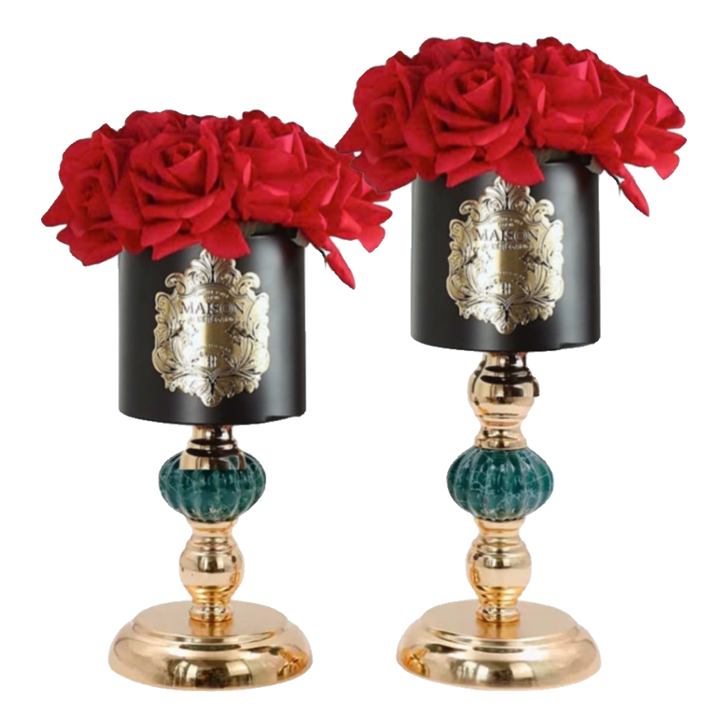 L’Essence Du Rose - Chậu Hoa Hồng Elizabeth H37/41