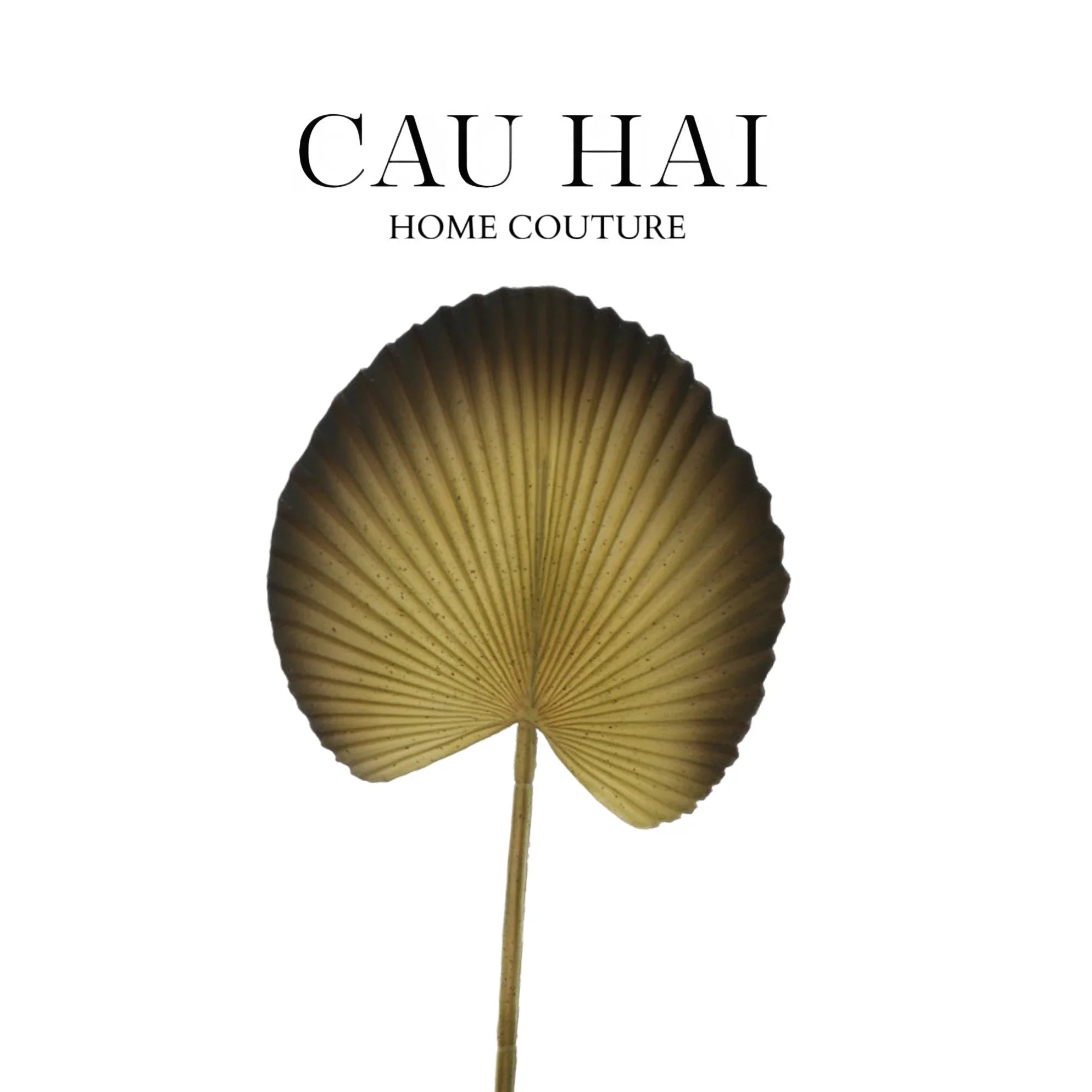 Lá Cây Cọ Licuala Orbicularis-CẬU HAI HOME DECOR
